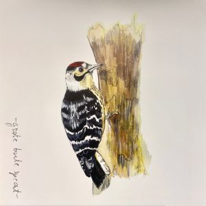 Vogelkaart