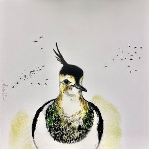 Vogelkaart