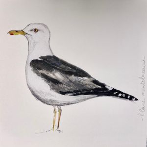 Vogelkaart