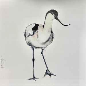 Vogelkaart