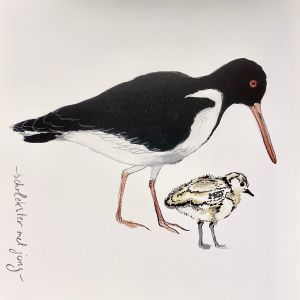 Vogelkaart