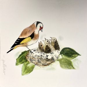 Vogelkaart