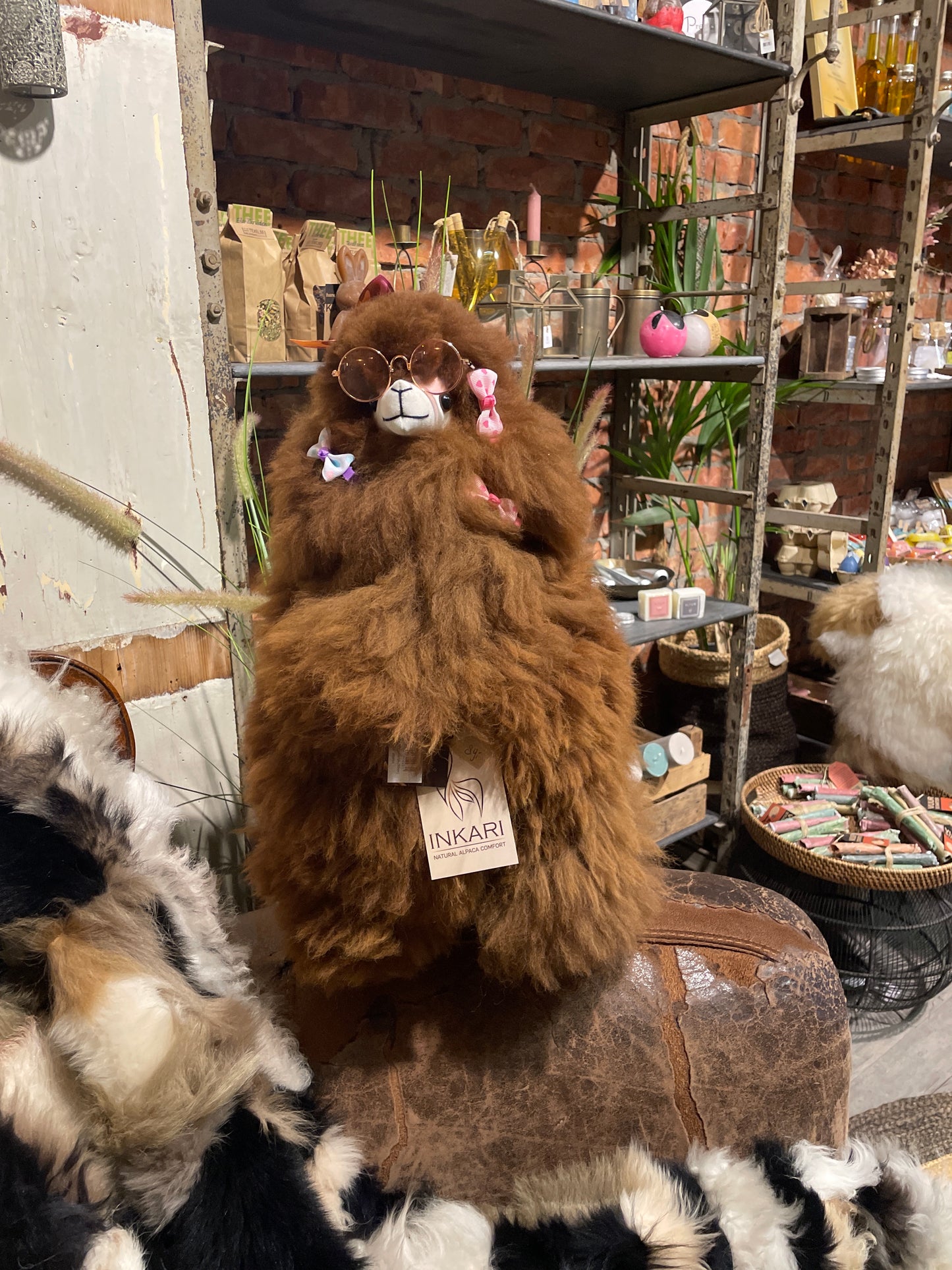 Alpaca bruin Large