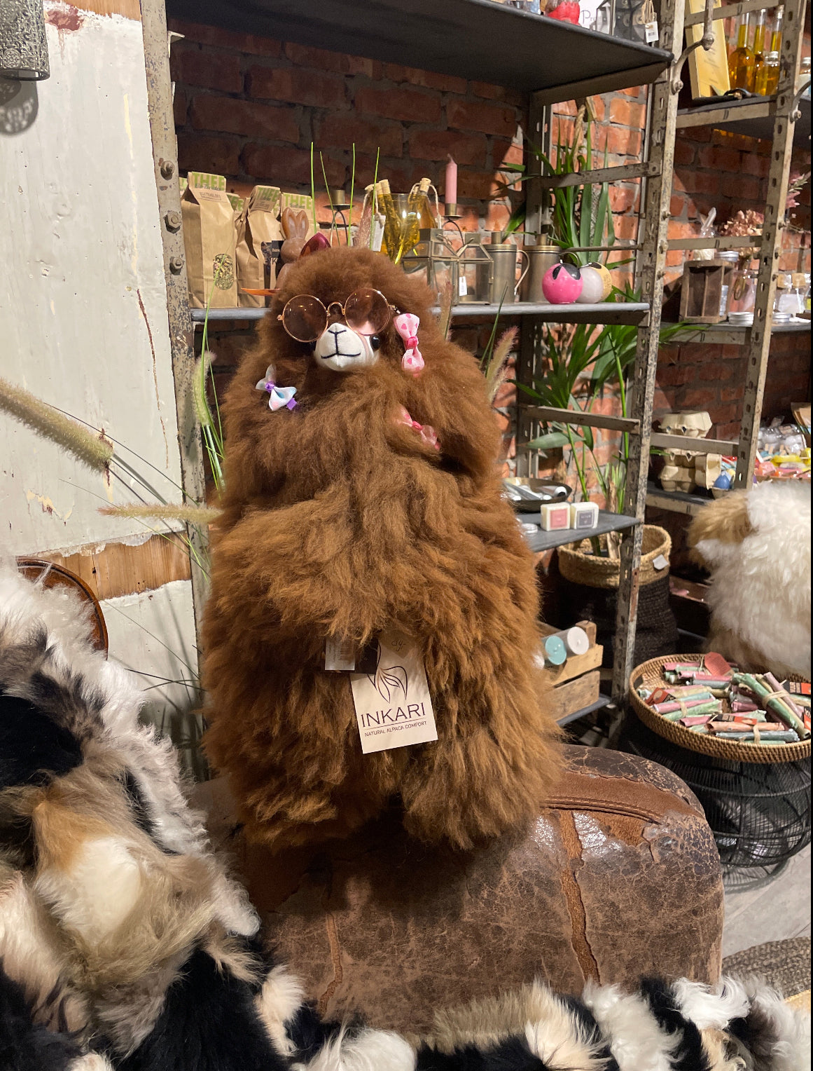 Alpaca Large